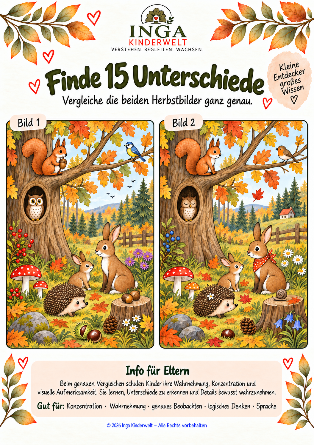Finde 15 Unterschiede