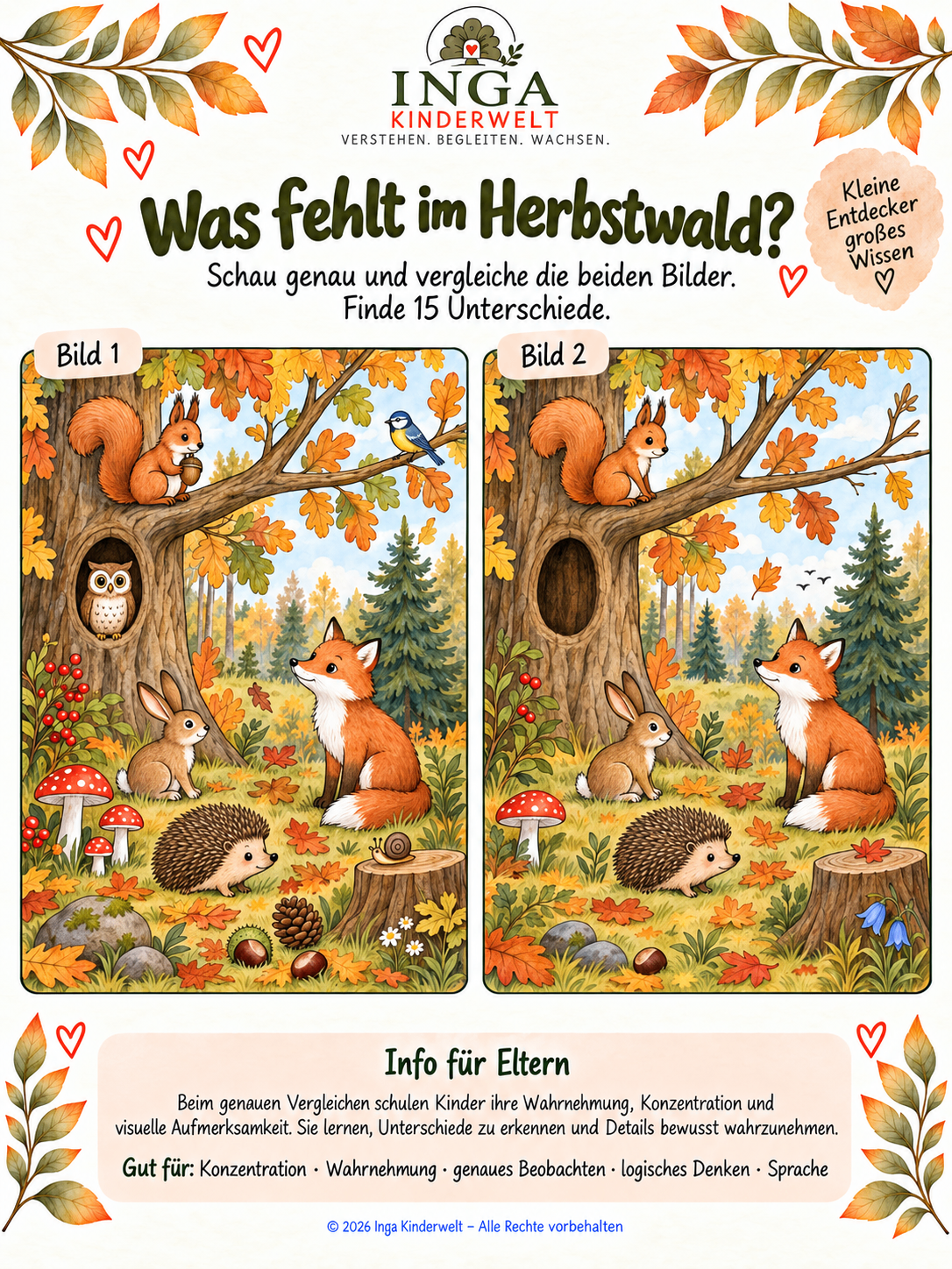 Was fehlt im Herbstwald?